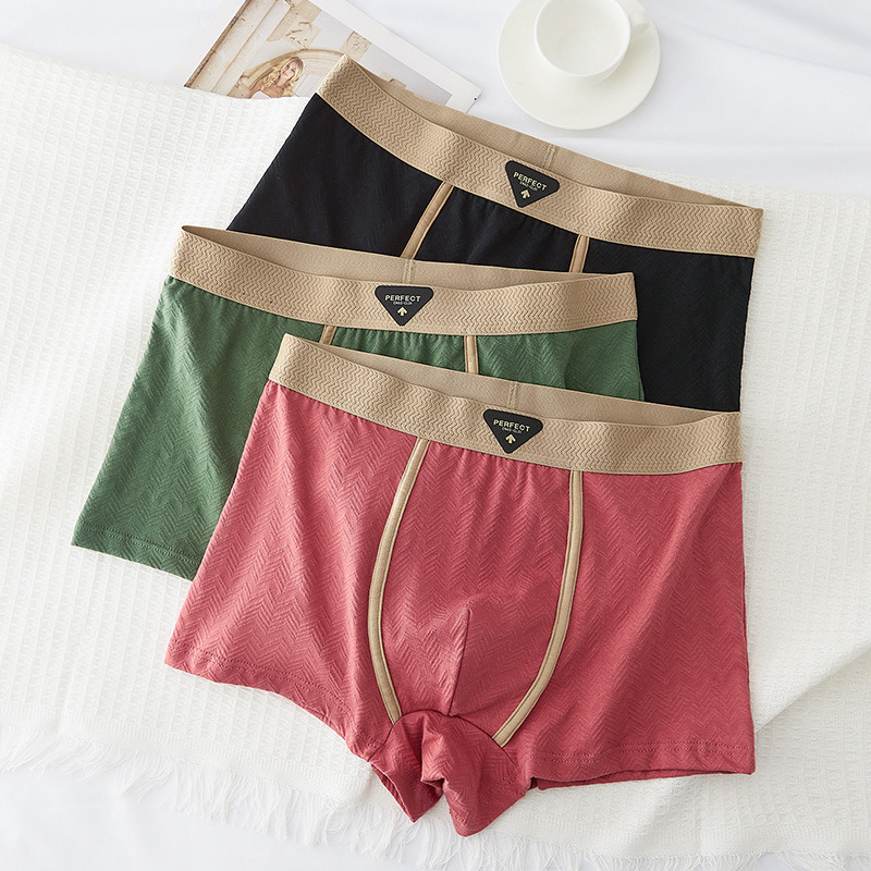 3 szt. Męskie bokserki ze 100% – Winter Under Clothing recenzja i cena